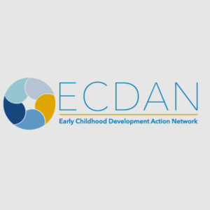 ECDAN Logo with gray background