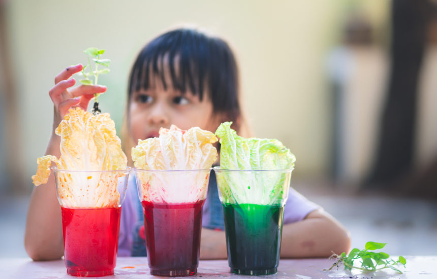 A young girl experiments with plants in colored liquids
