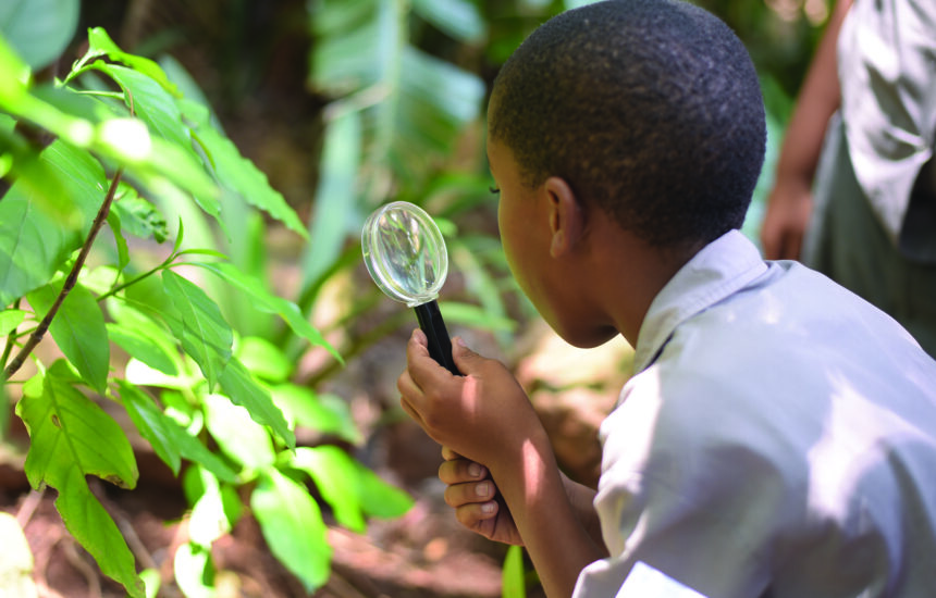A boy uses a magnifying glass to look at a plant up close